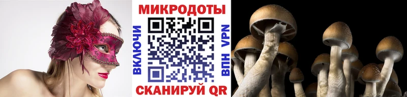дарнет шоп  Палласовка  Галлюциногенные грибы Cubensis 