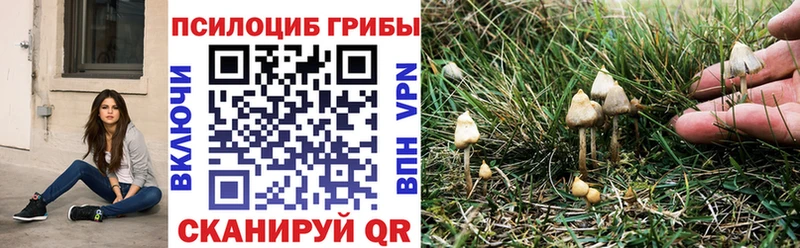 Галлюциногенные грибы мухоморы Палласовка